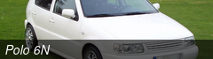 Polo 6N