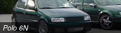 Polo 6N