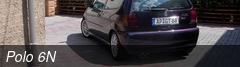 Polo 6N