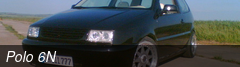 Polo 6N