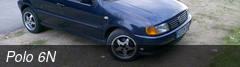 Polo 6N