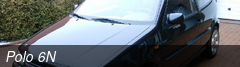 Polo 6N