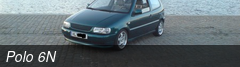 Polo 6N