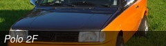 Polo 2F