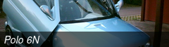 Polo 6N