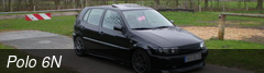 Polo 6N