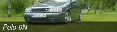 Polo 6N