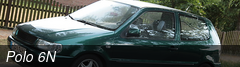 Polo 6N