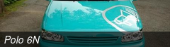 Polo 6N