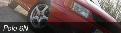 Polo 6N