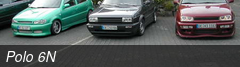 Polo 6N