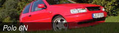 Polo 6N