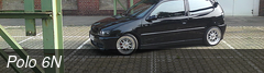 Polo 6N