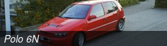 Polo 6N