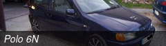 Polo 6N
