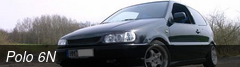 Polo 6N