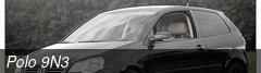 Polo 9N3