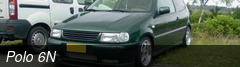 Polo 6N