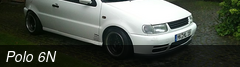 Polo 6N