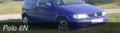 Polo 6N