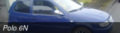 Polo 6N