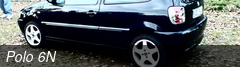 Polo 6N