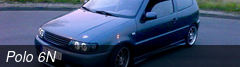 Polo 6N