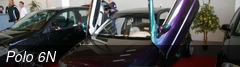 Polo 6N