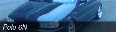 Polo 6N
