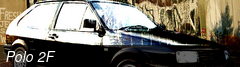 Polo 2F