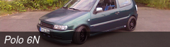Polo 6N