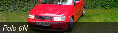 Polo 6N