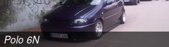Polo 6N