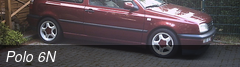 Polo 6N