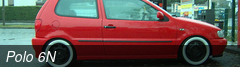 Polo 6N