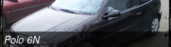 Polo 6N