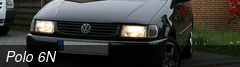 Polo 6N