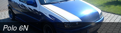 Polo 6N
