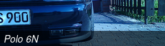 Polo 6N