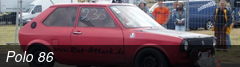 Polo 86