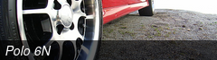 Polo 6N