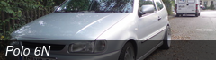 Polo 6N