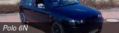 Polo 6N