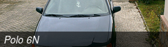 Polo 6N