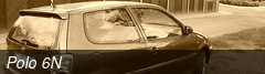 Polo 6N
