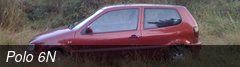 Polo 6N