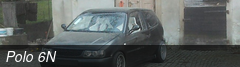 Polo 6N