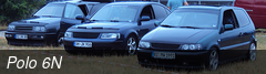 Polo 6N