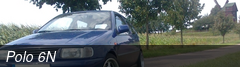 Polo 6N