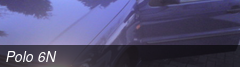 Polo 6N